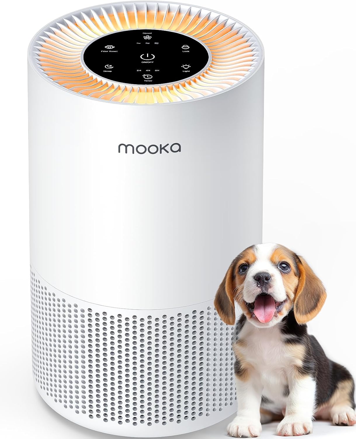 True HEPA Air Purifier for Review: Is It Any Good?